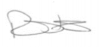 Tricia's signature